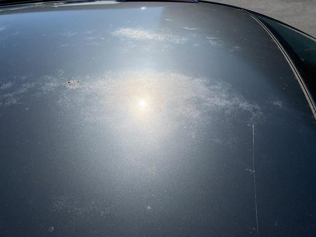 Photo '22' of Mazda Atenza