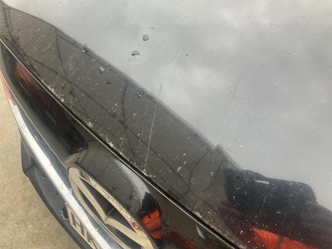 Photo '17' of Mazda CX-5 GSX DSL