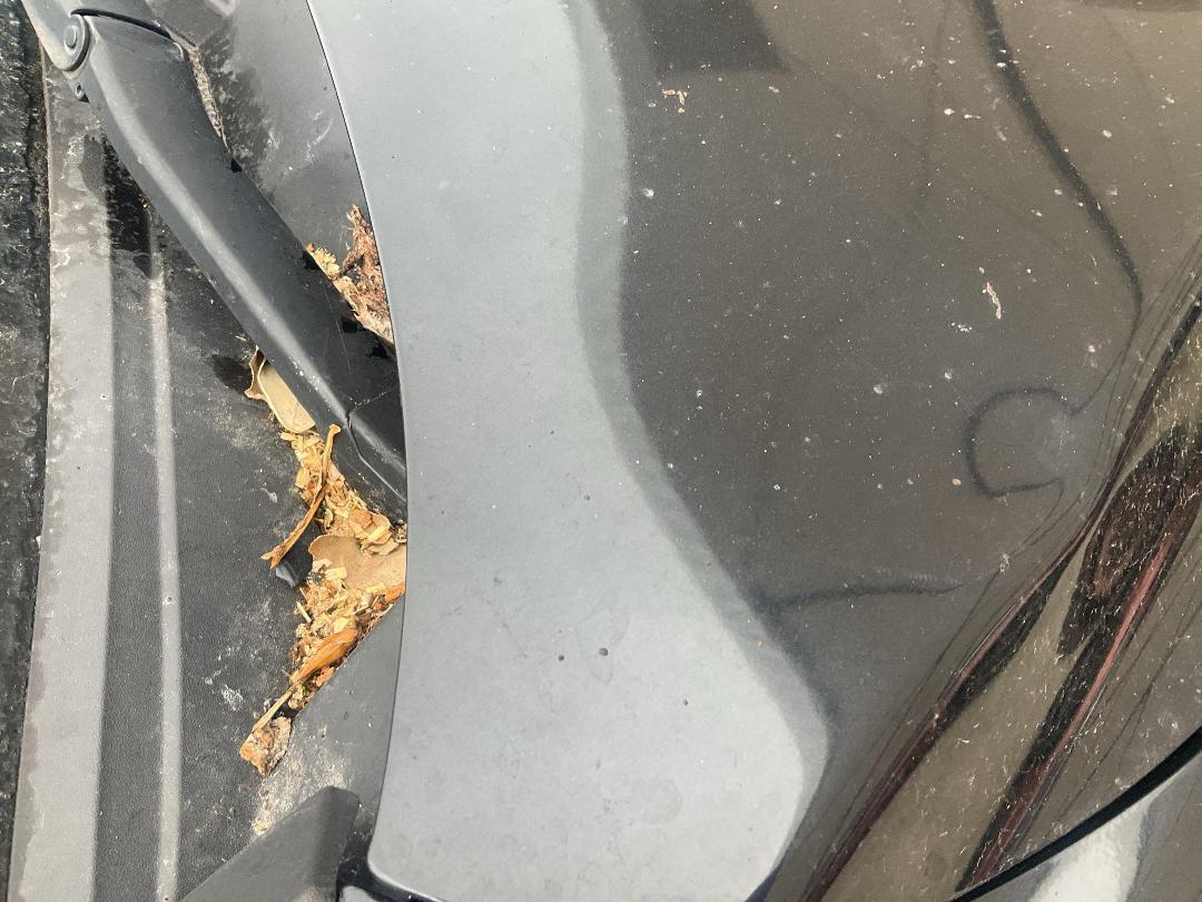 Photo '24' of Mazda CX-5 GSX DSL