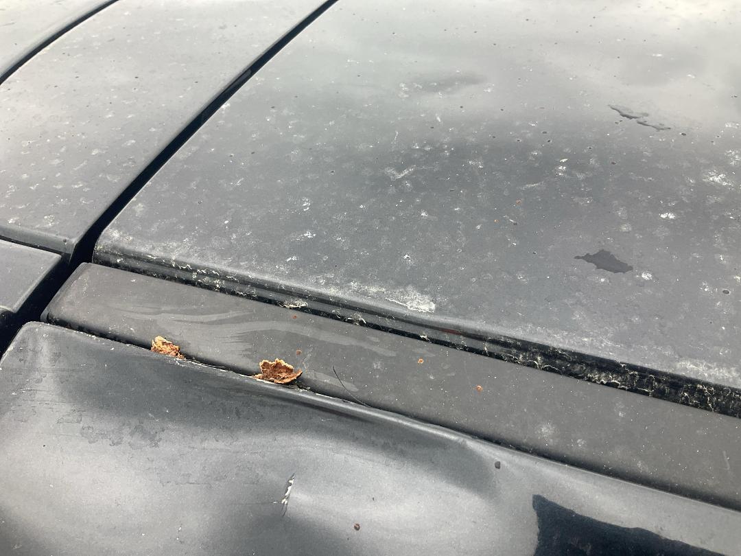 Photo '27' of Mazda CX-5 GSX DSL