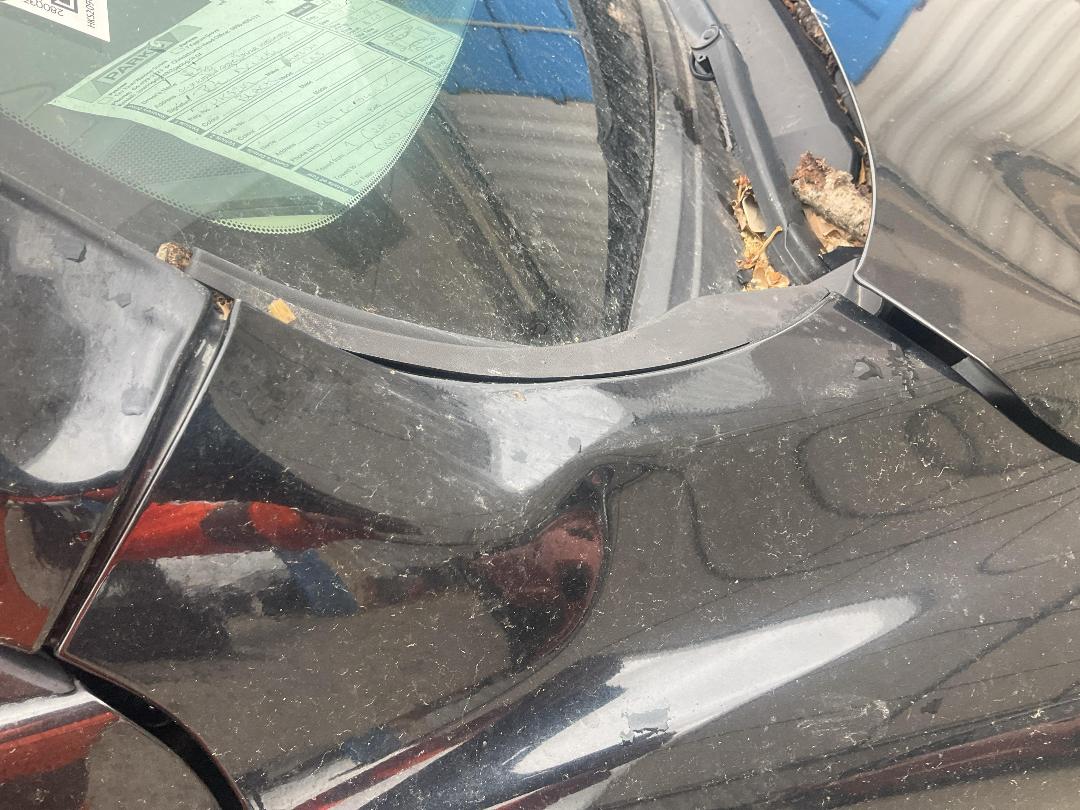 Photo '26' of Mazda CX-5 GSX DSL