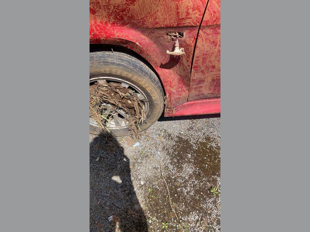 Photo '11' of Mitsubishi Lancer SEI