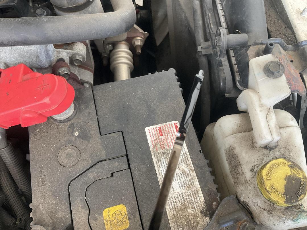 Photo '10' of Nissan Navara DX S/C