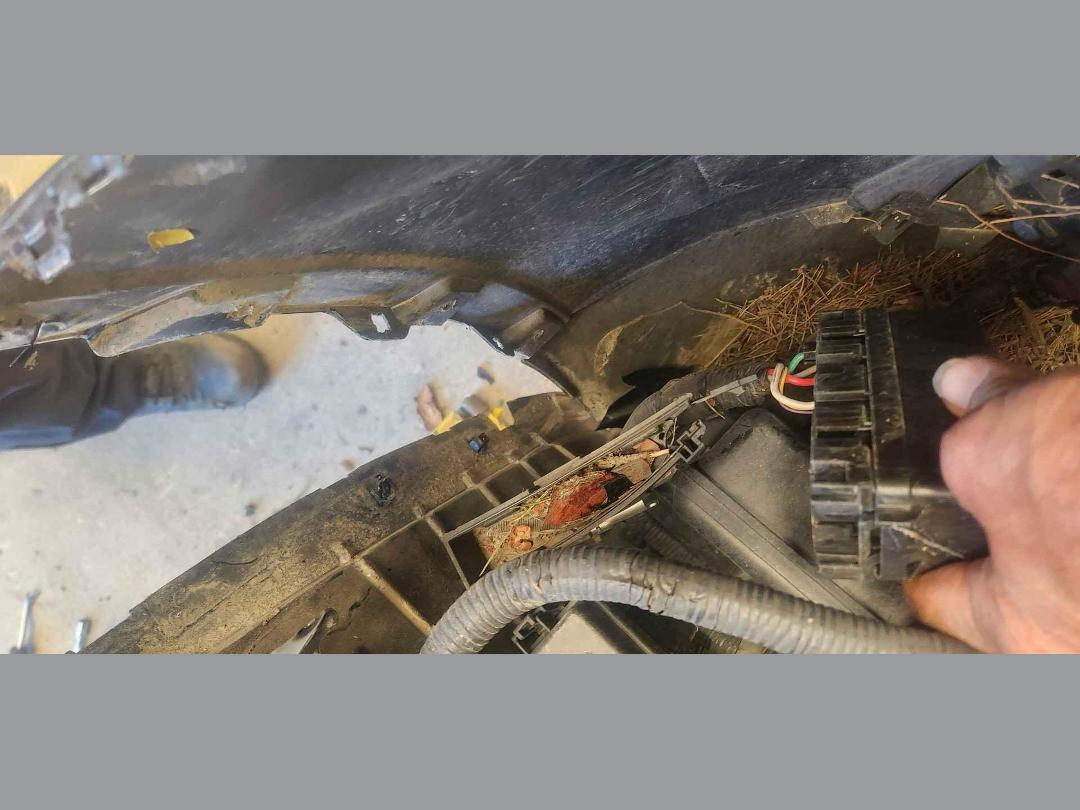 Photo '9' of Nissan X-Trail