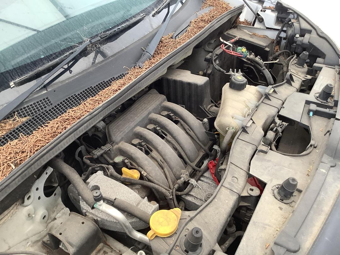 Photo '15' of Renault Kangoo 1.6 P A Photo '15' of Renault Kangoo 1.6 P A