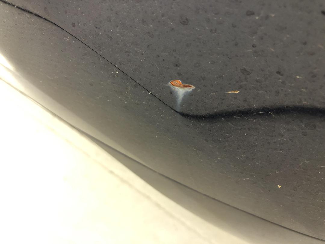 Photo '23' of Subaru Legacy