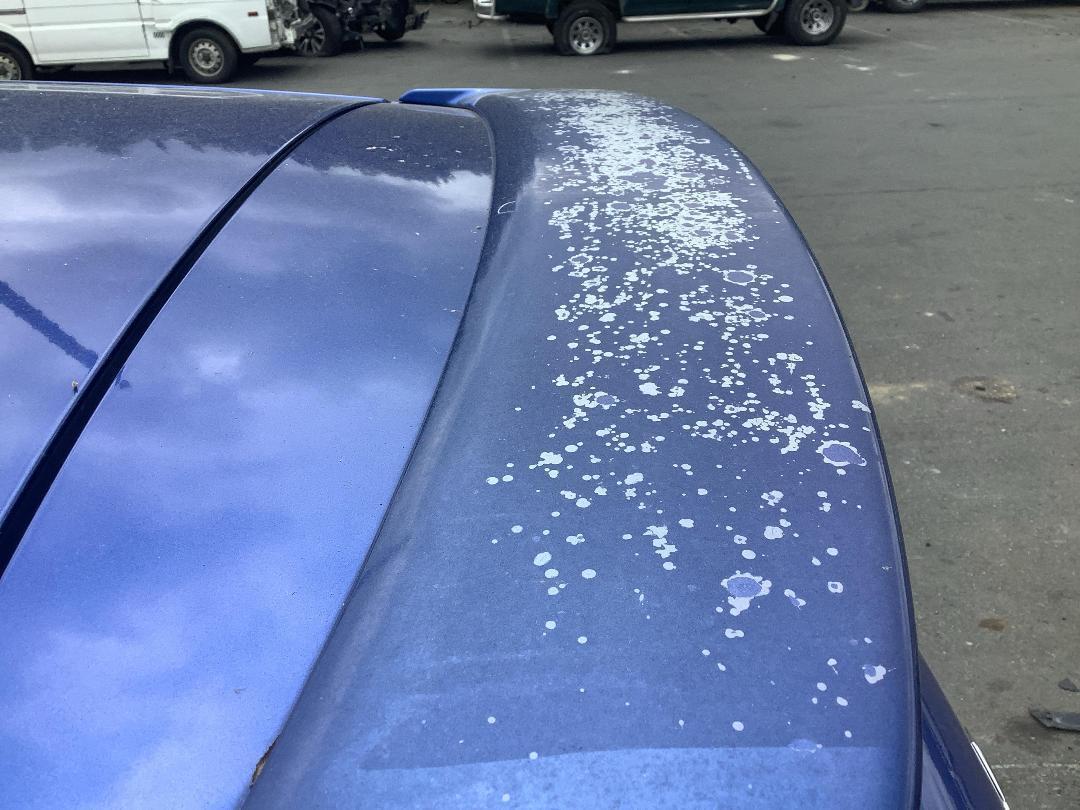 Photo '20' of Suzuki Swift