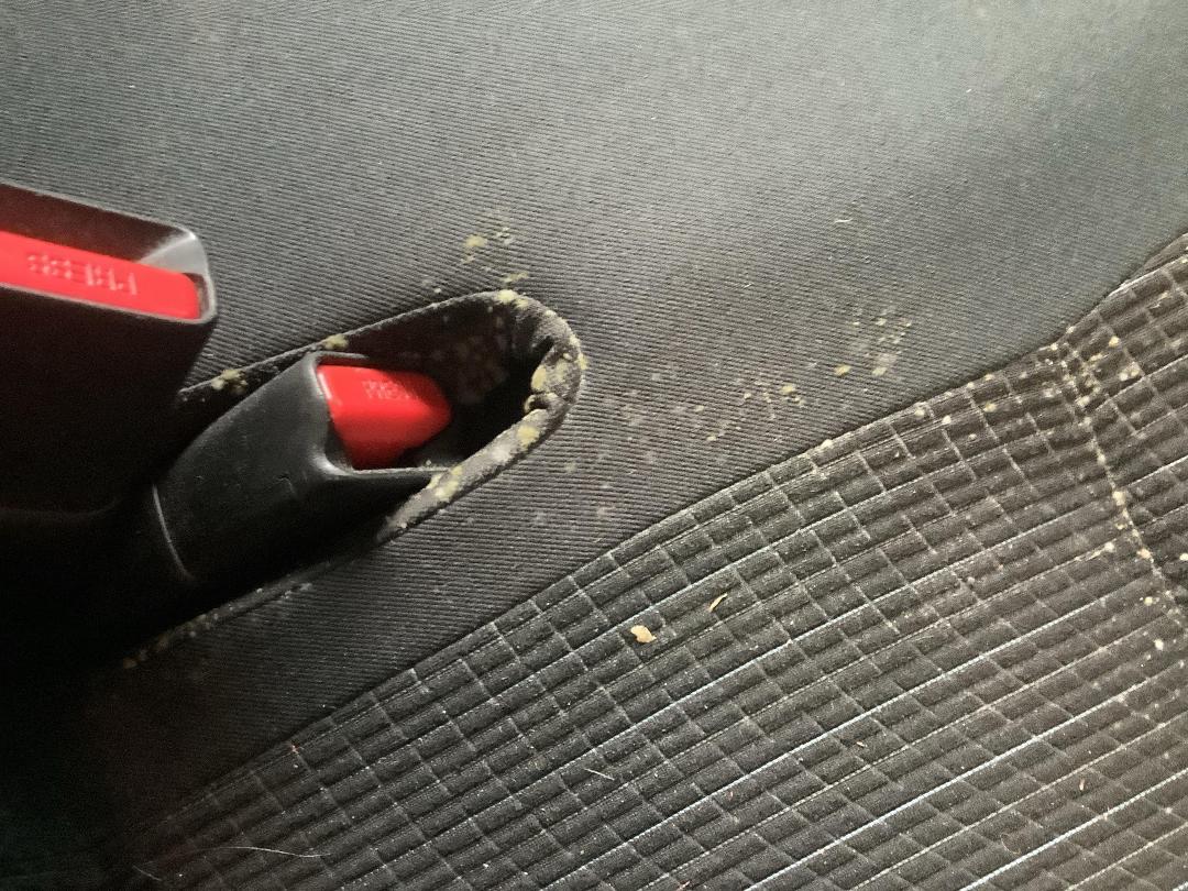 Photo '12' of Suzuki Swift Glxab