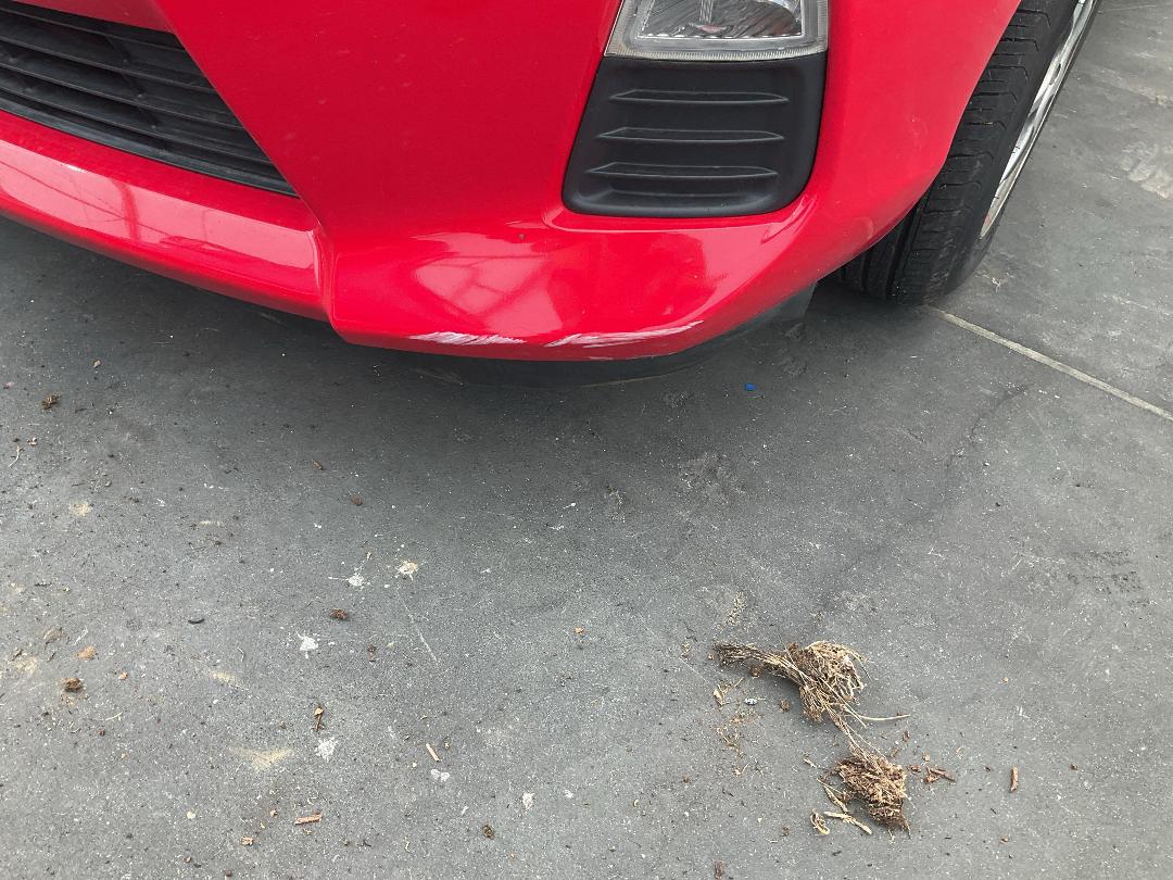 Photo '8' of Toyota Aqua Photo '8' of Toyota Aqua