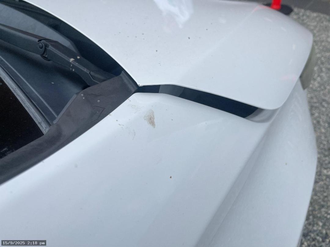 Photo '14' of Toyota Corolla GX Photo '14' of Toyota Corolla GX