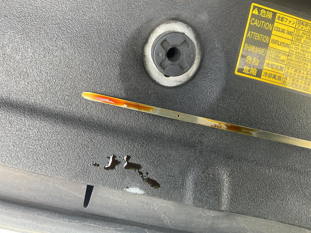 Photo '9' of Toyota Prius Hybrid Photo '9' of Toyota Prius Hybrid