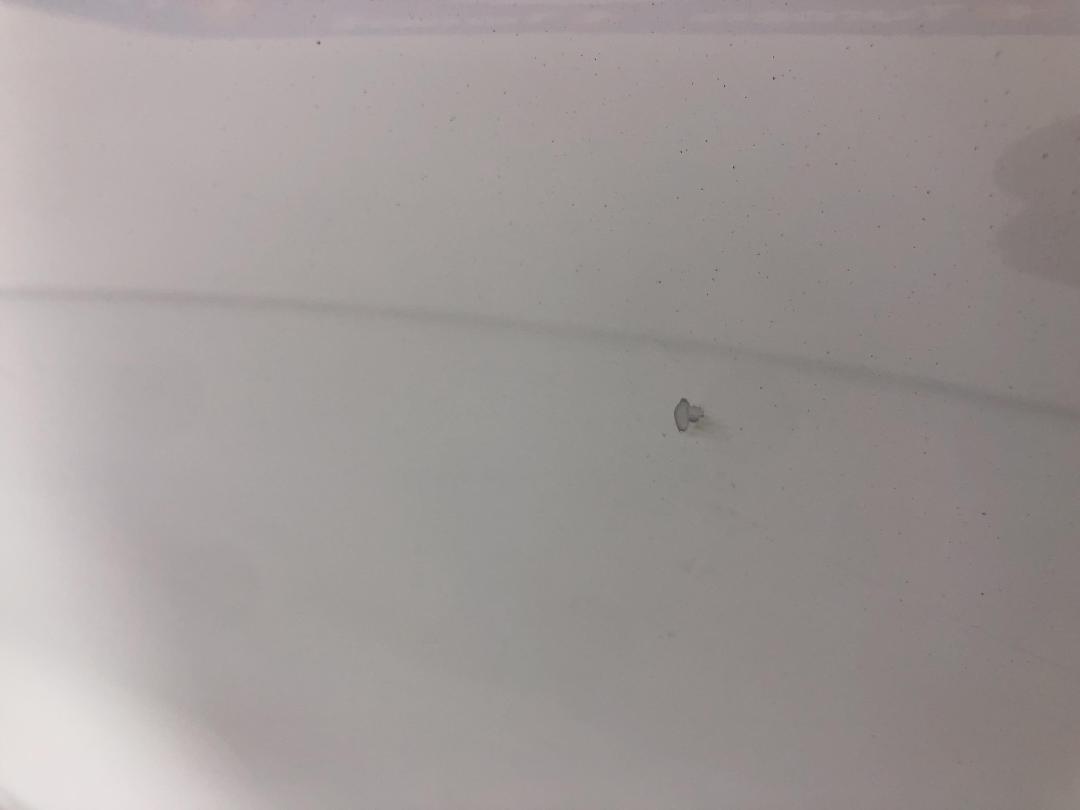 Photo '23' of Volkswagen Tiguan