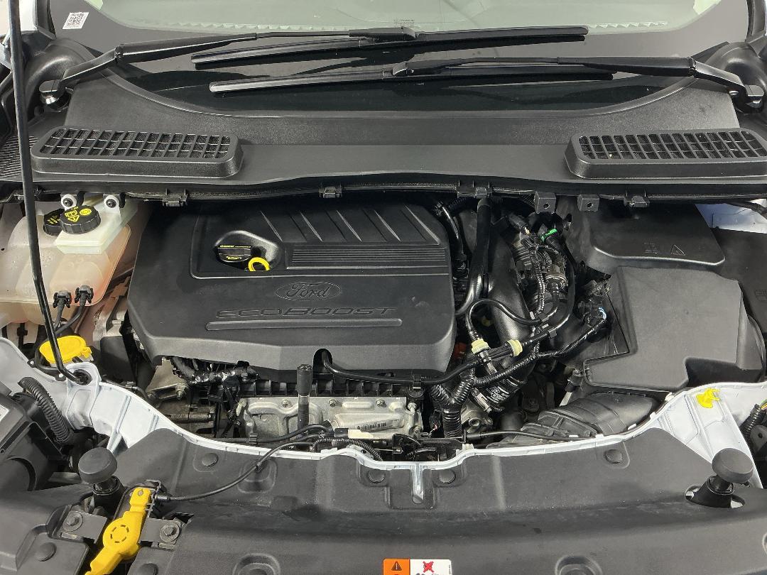 Photo '13' of Ford Kuga