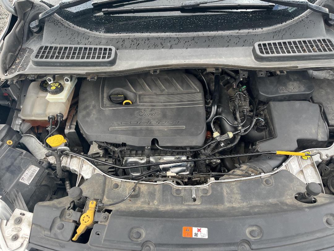 Photo '11' of Ford Kuga Ambiente AWD Petrol Photo '11' of Ford Kuga Ambiente AWD Petrol