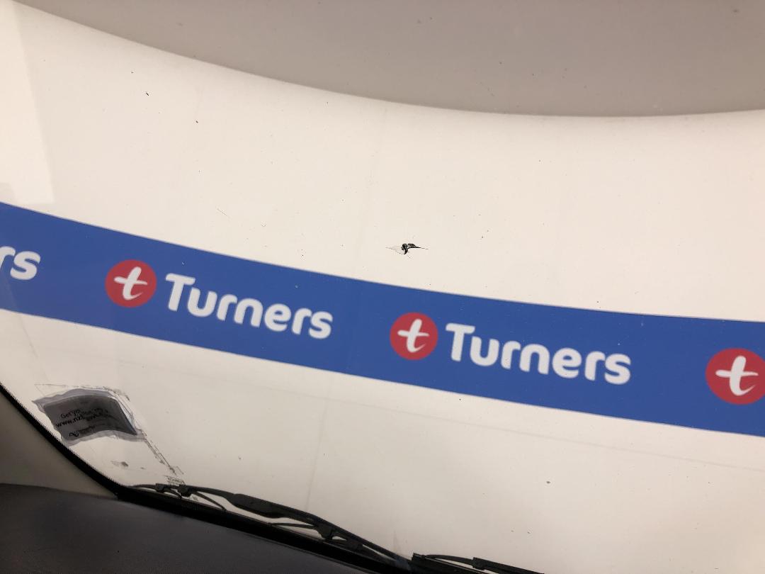 Photo '27' of Ford Ranger