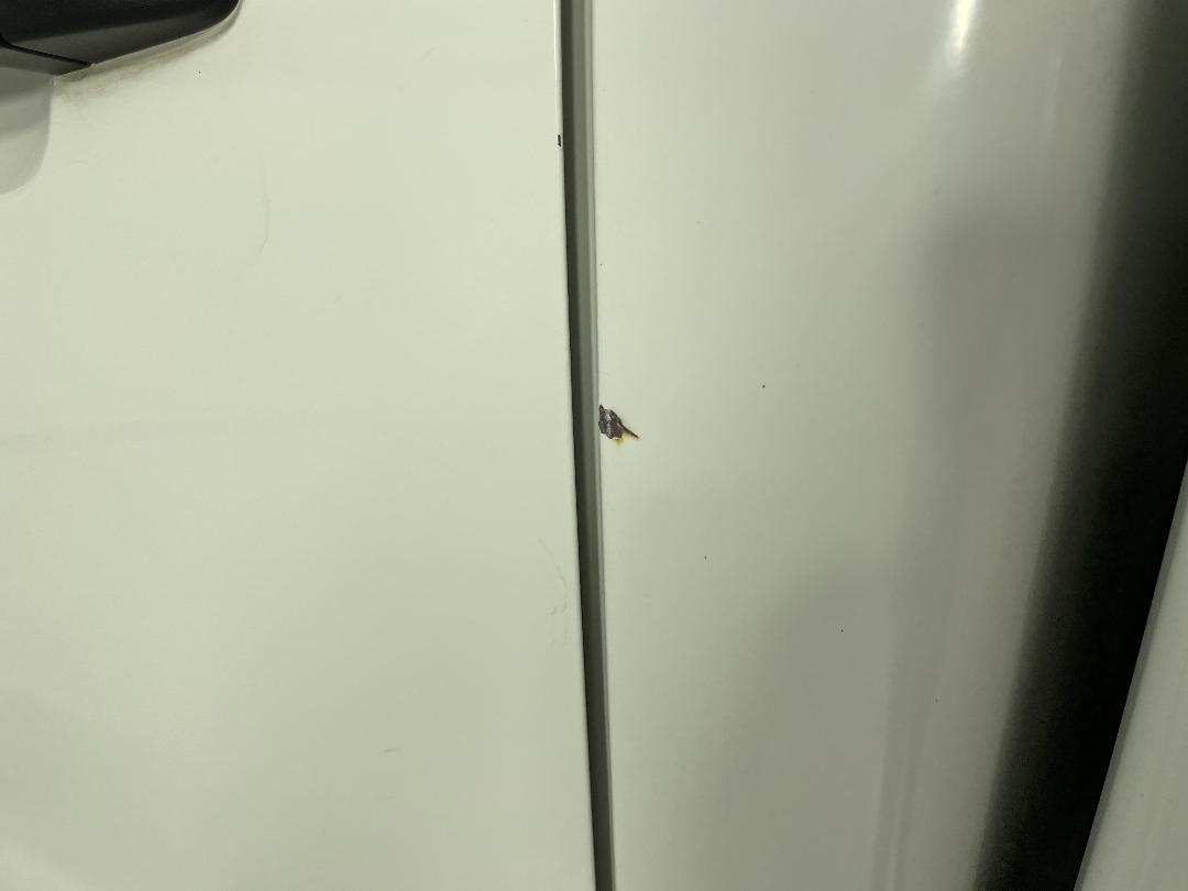 Photo '33' of Ford Ranger