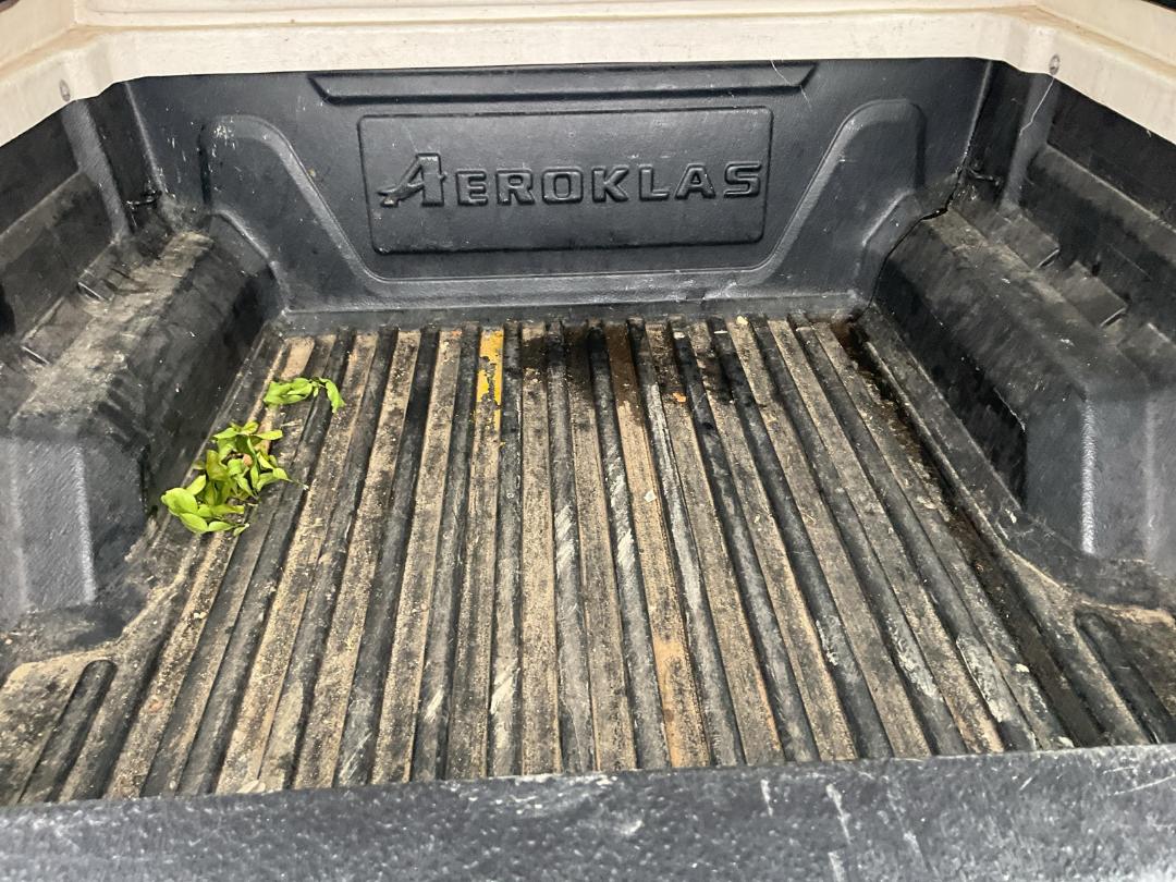 Photo '6' of Ford Ranger TD XLT DC W/S