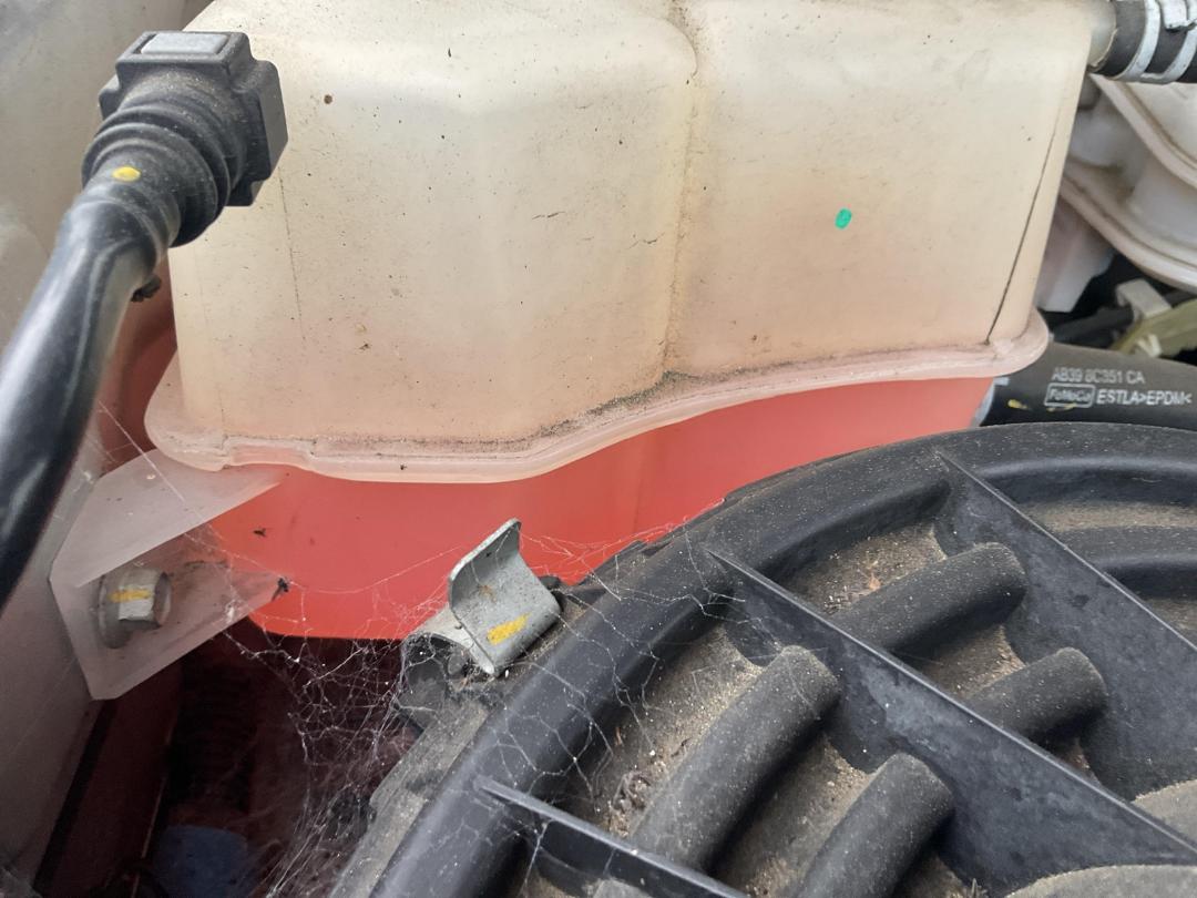 Photo '8' of Ford Ranger TD XLT DC W/S