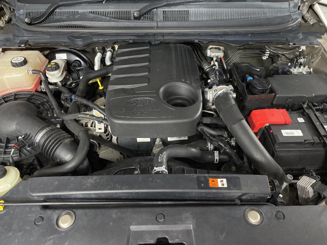 Photo '13' of Ford Ranger