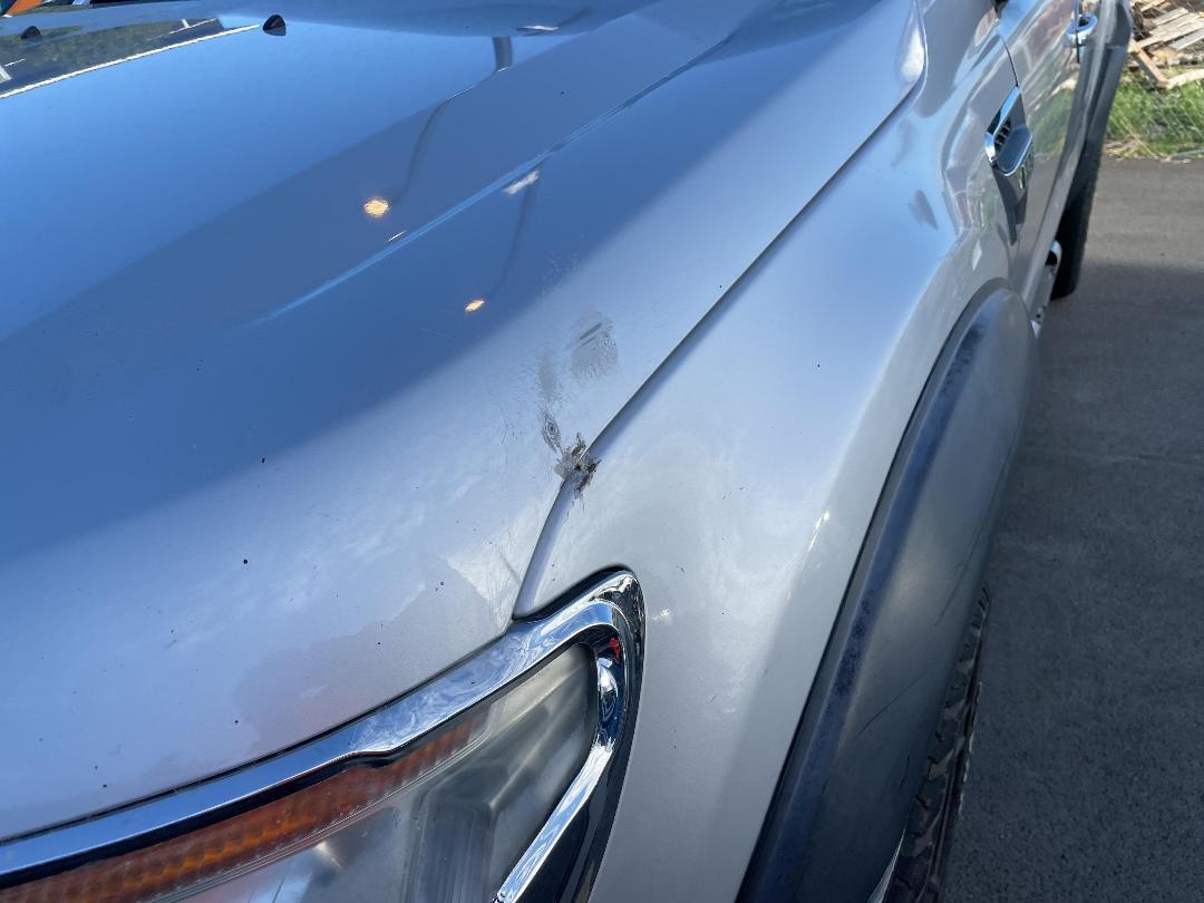 Photo '29' of Ford Ranger TD XLT DC W/SA