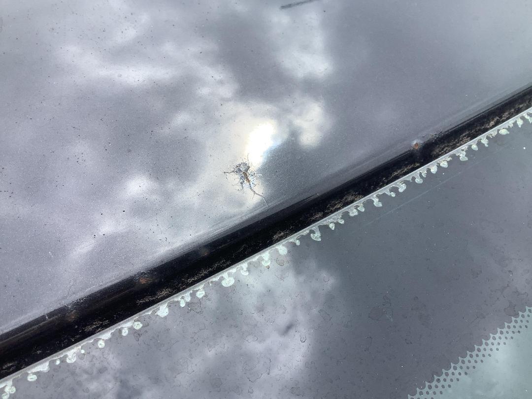 Photo '24' of Ford Ranger XLT Double CAB W/S