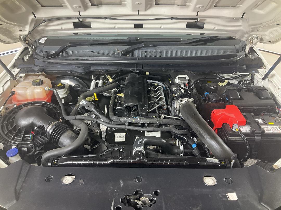 Photo '13' of Ford Ranger