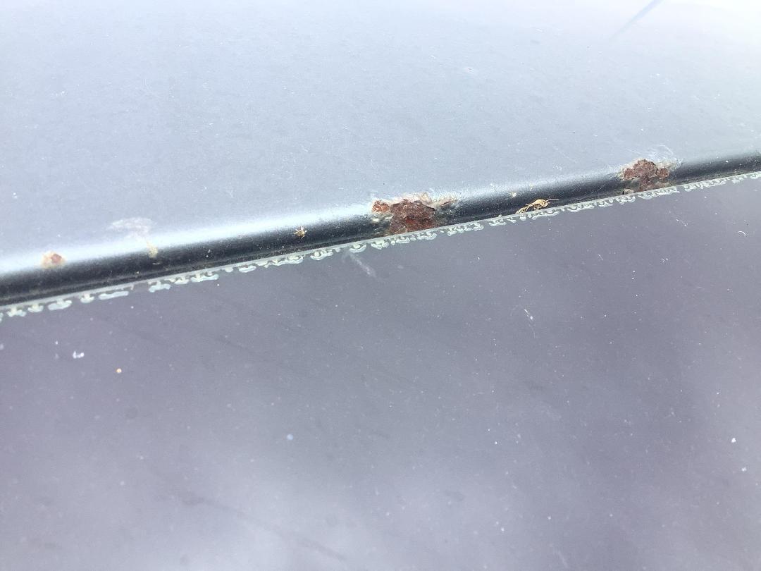 Photo '24' of Ford Territory TX