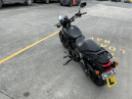 Thumbnail '5' of Harley Davidson Street 15 500 Thumbnail '5' of Harley Davidson Street 15 500