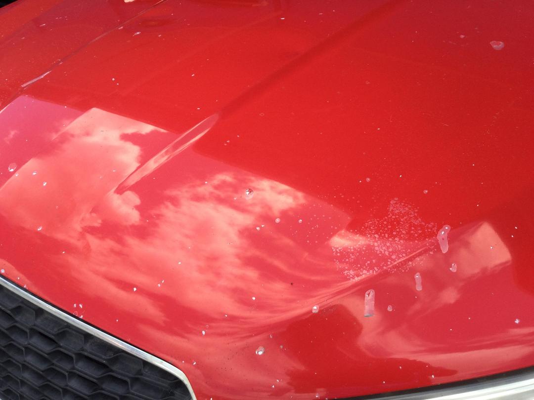 Photo '3' of Holden Commodore VF Evoke V6