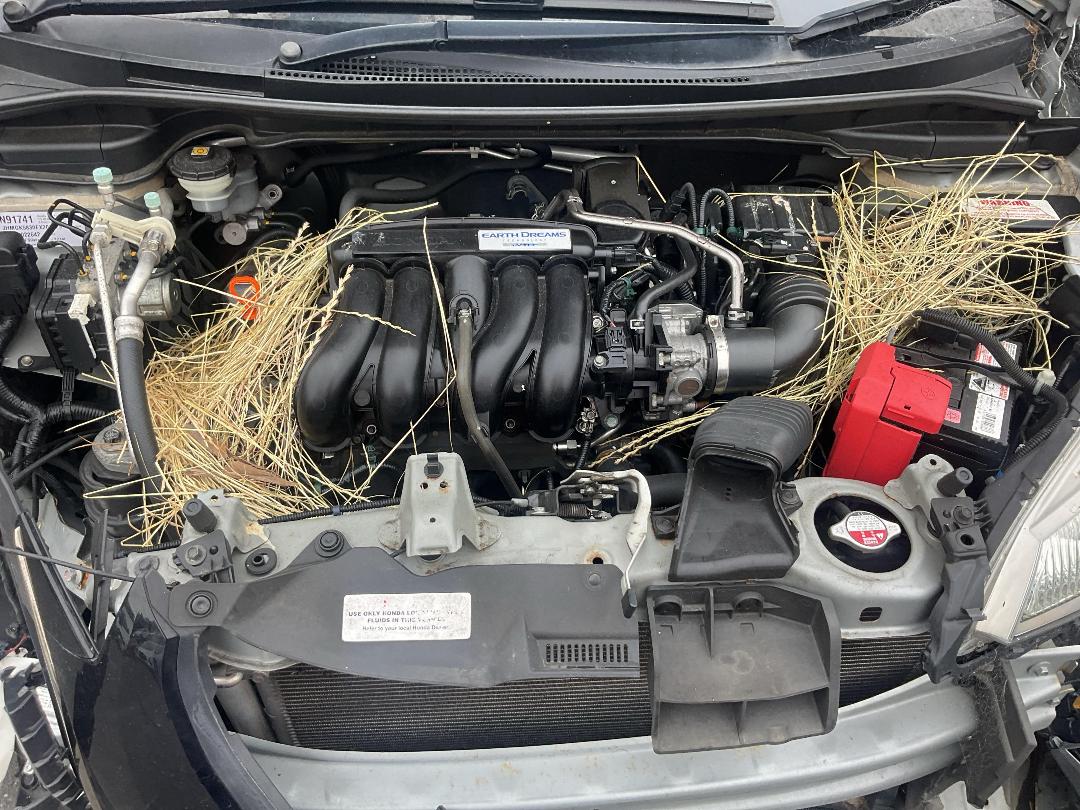 Photo '6' of Honda Jazz RS