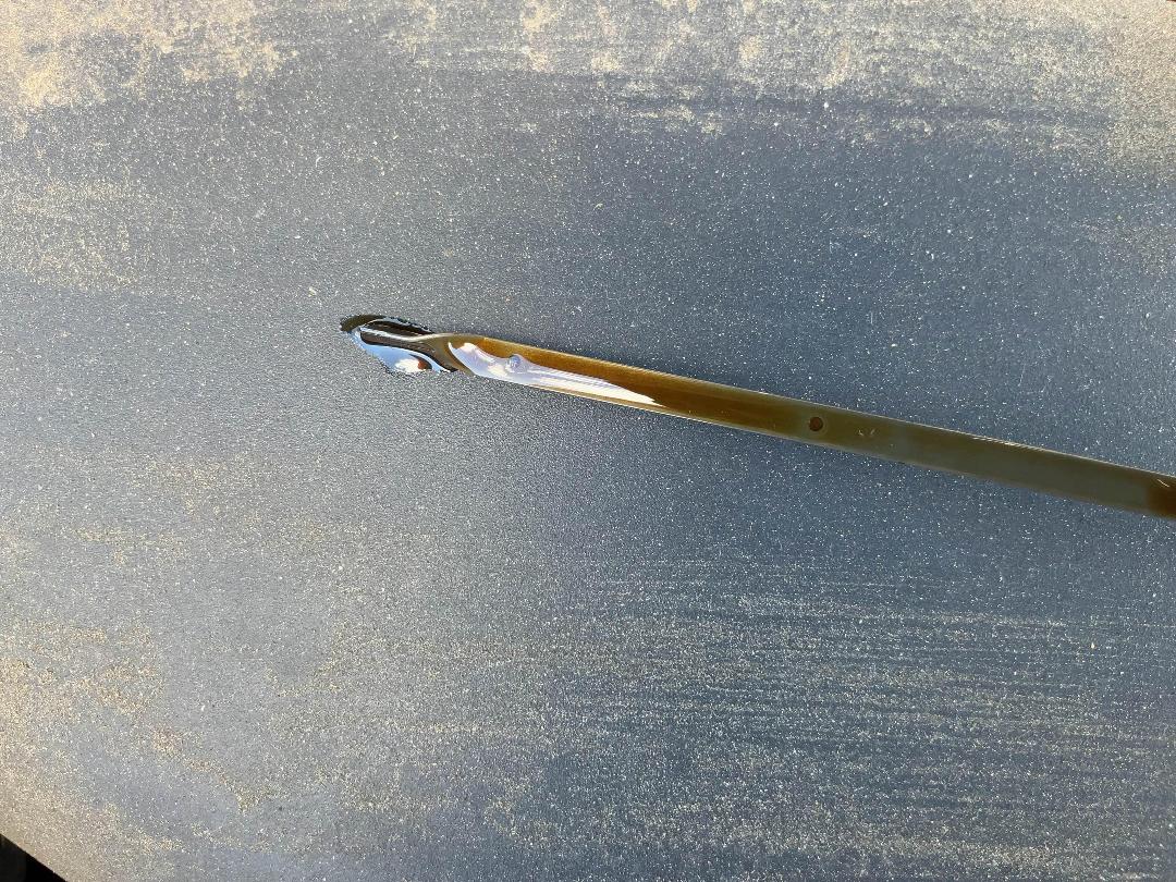 Photo '22' of Subaru Forester