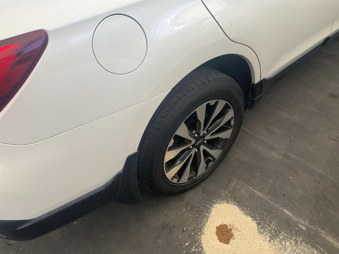 Photo '13' of Subaru Outback Premium