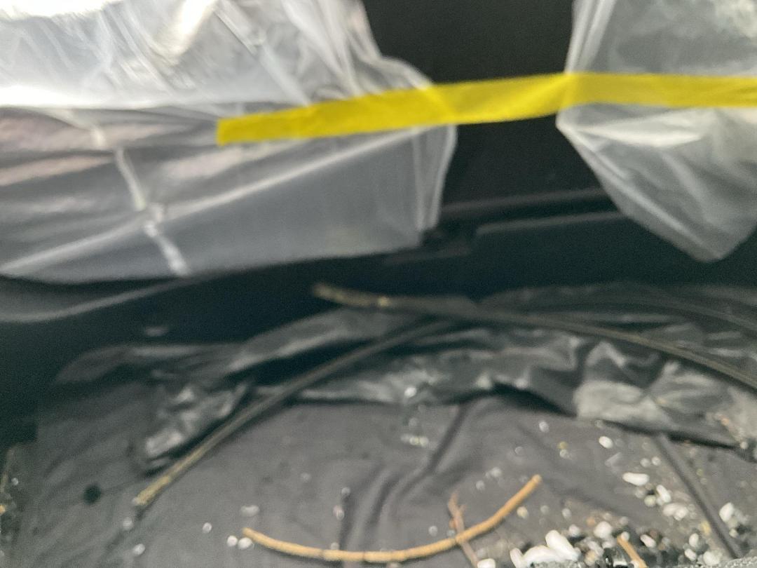 Photo '15' of Toyota Aqua Photo '15' of Toyota Aqua