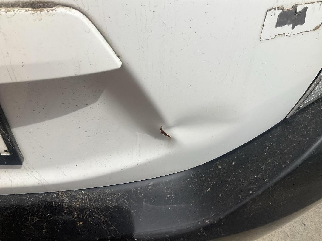 Photo '17' of Toyota Aqua