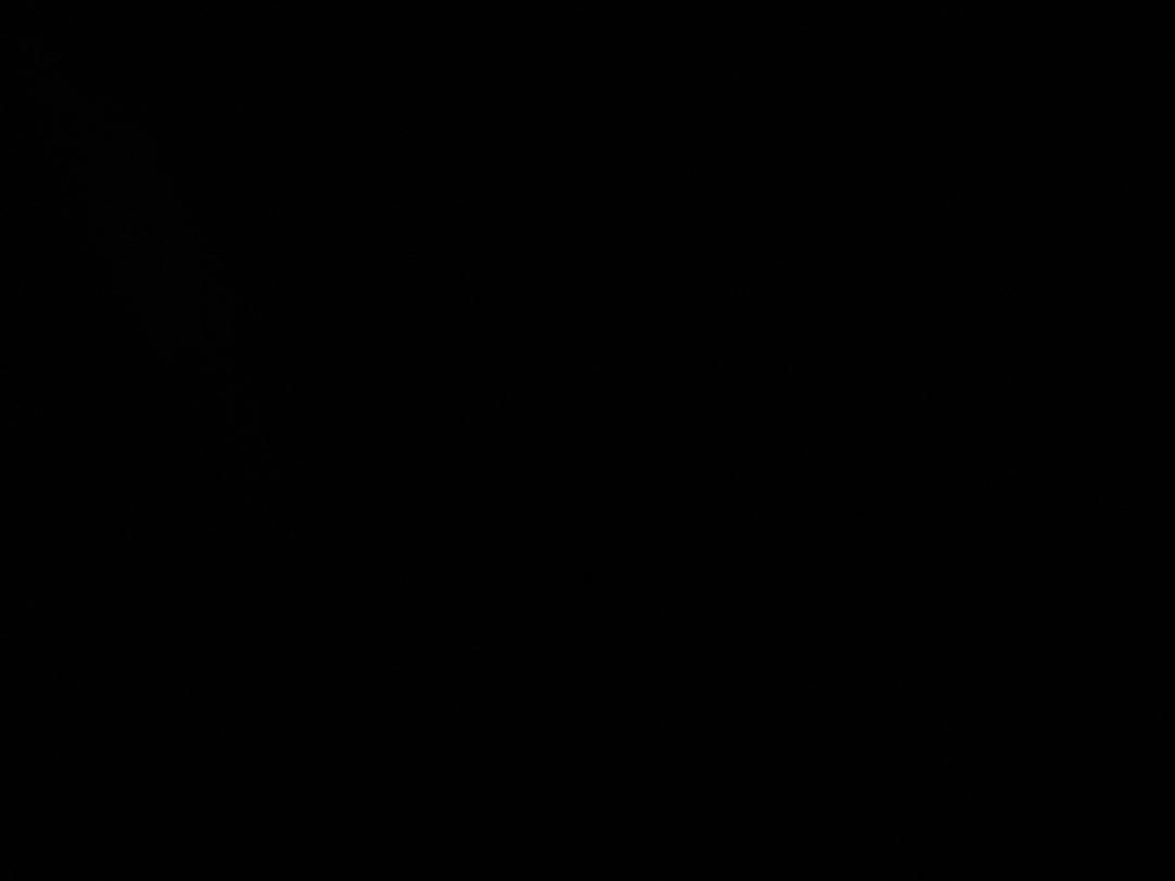 Photo '31' of Toyota Corolla