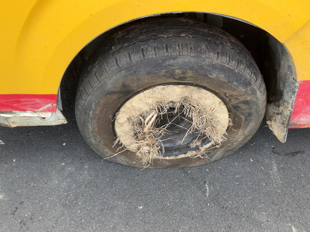 Photo '11' of Toyota Hiace ZL TD Photo '11' of Toyota Hiace ZL TD