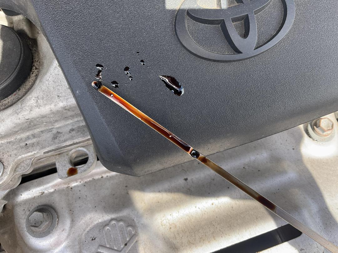 Photo '9' of Toyota Rav4 GXL SUV Photo '9' of Toyota Rav4 GXL SUV