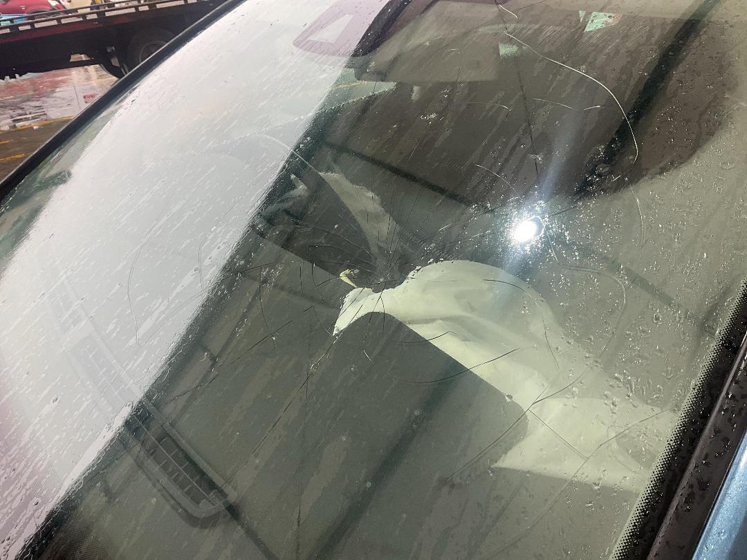 Photo '24' of Volkswagen Golf Variant Photo '24' of Volkswagen Golf Variant