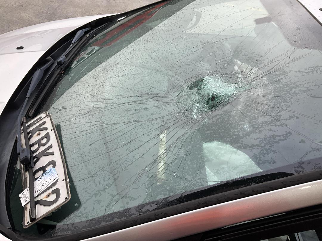 Photo '9' of Ford Fiesta Sport Photo '9' of Ford Fiesta Sport