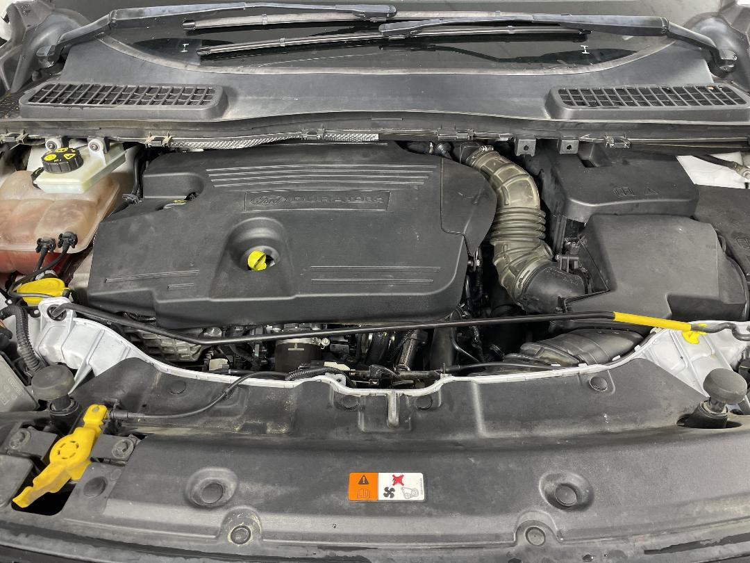 Photo '13' of Ford Kuga