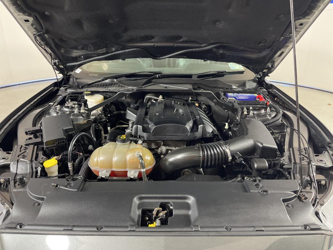 Photo '13' of Ford Mustang