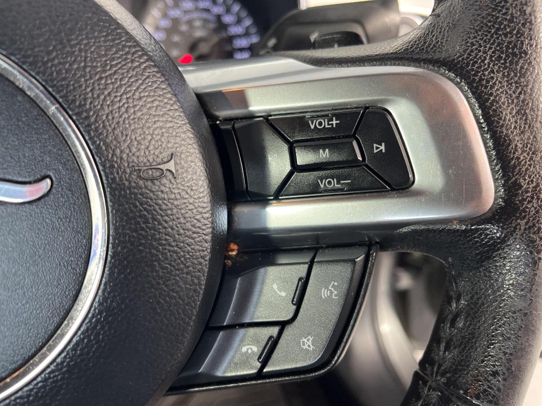 Photo '24' of Ford Mustang