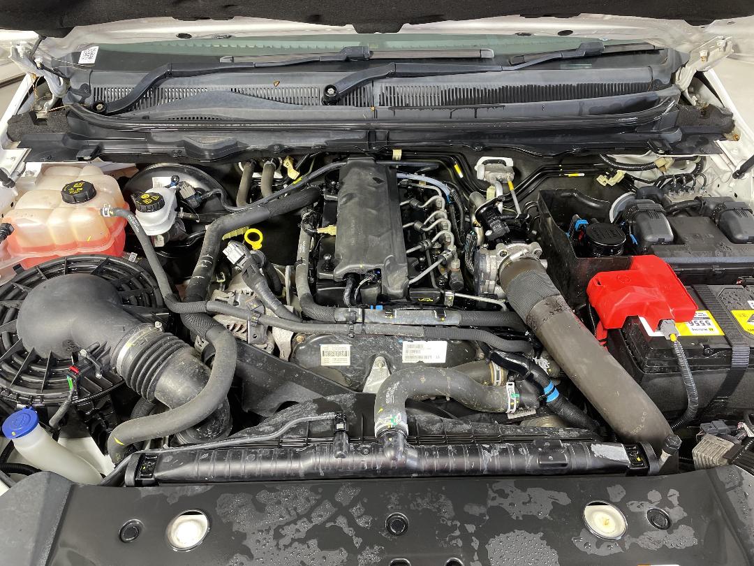 Photo '13' of Ford Ranger