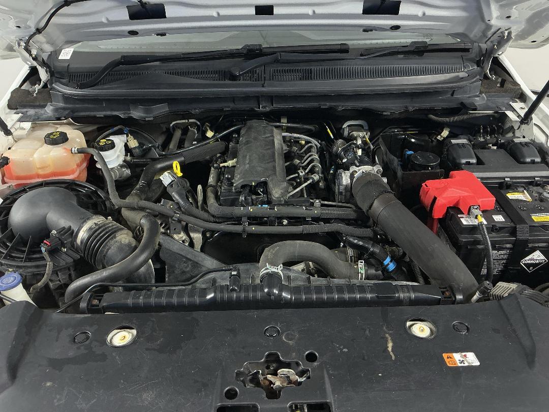 Photo '13' of Ford Ranger