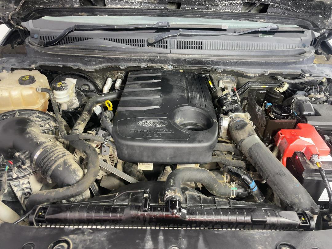 Photo '13' of Ford Ranger