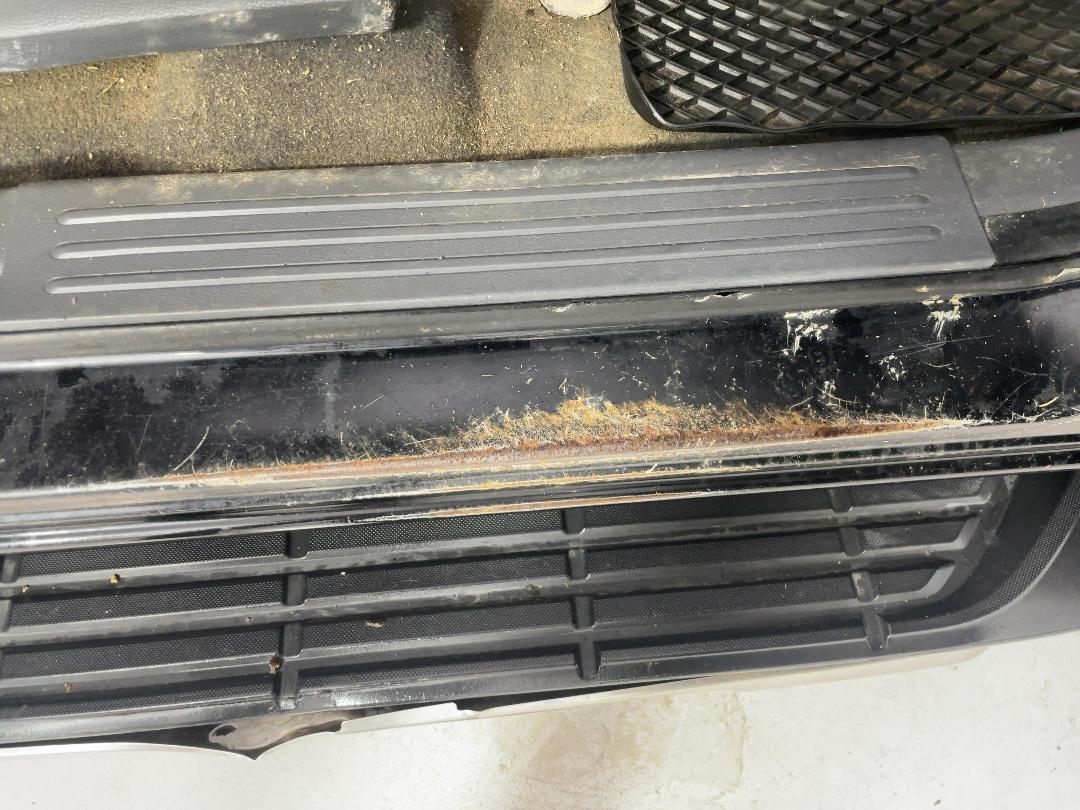 Photo '25' of Ford Ranger