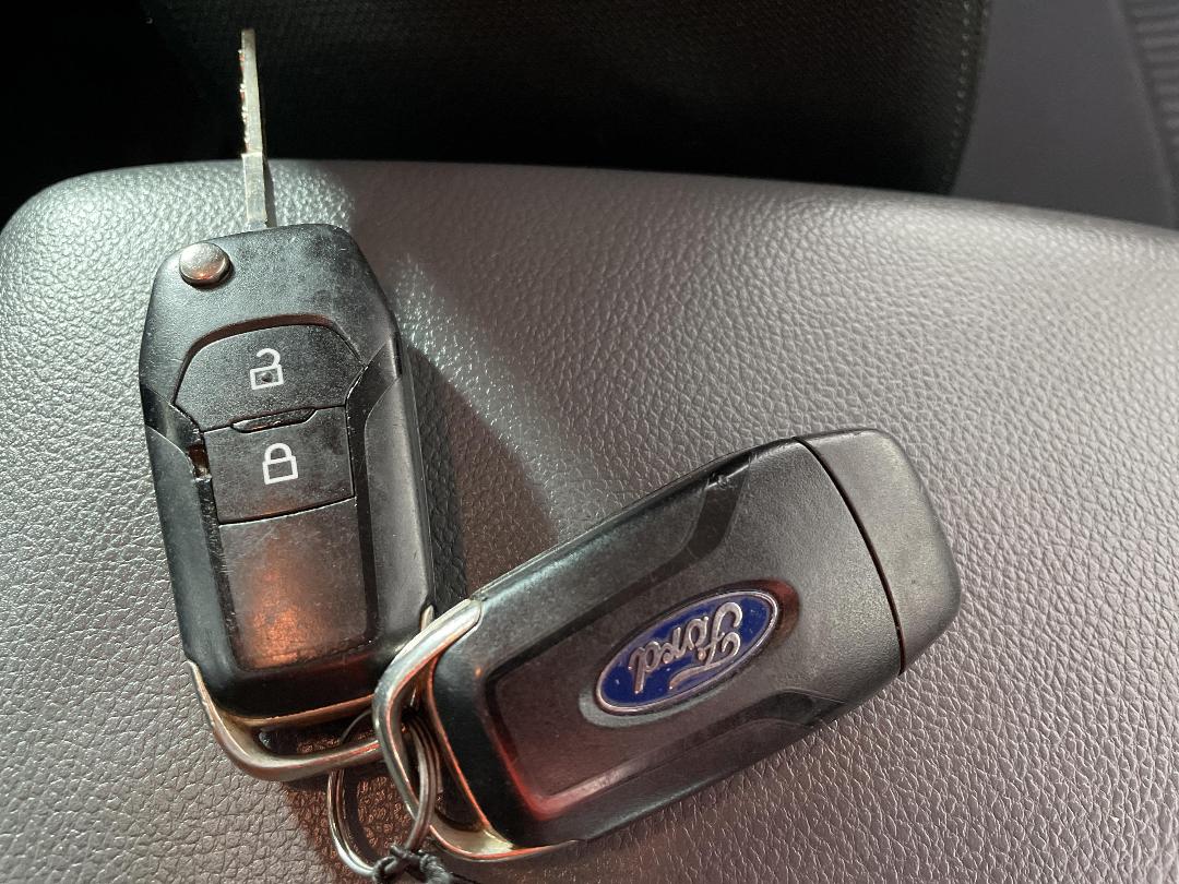 Photo '22' of Ford Ranger Photo '22' of Ford Ranger