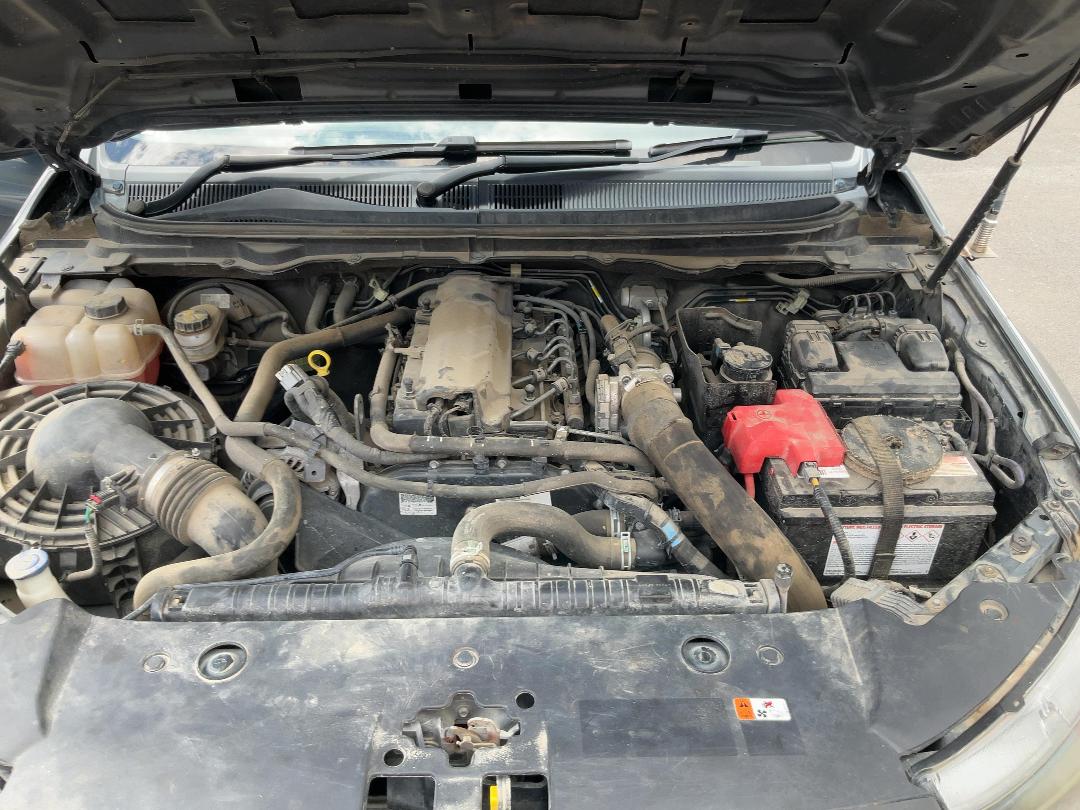 Photo '21' of Ford Ranger XL Double CAB W/S