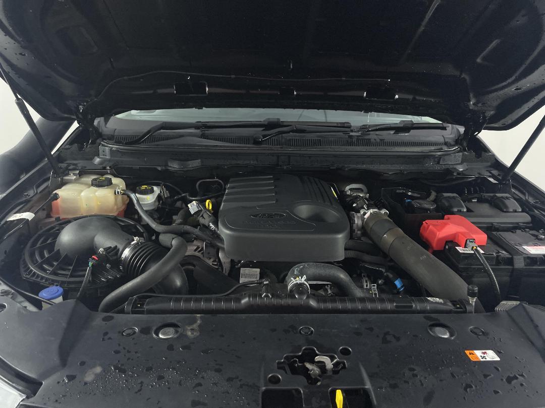 Photo '13' of Ford Ranger