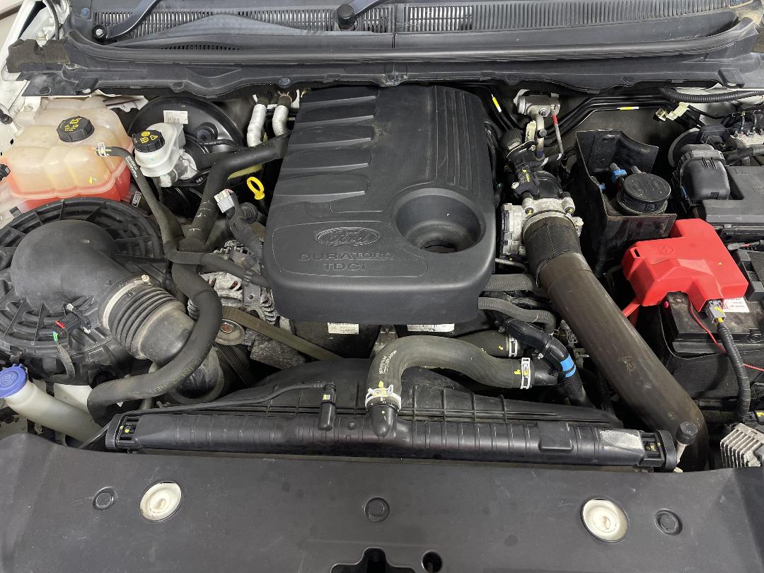 Photo '13' of Ford Ranger